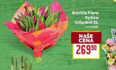 BONVIA FLORA KYTICE TULIP�N� XL