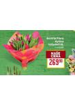 BONVIA FLORA KYTICE TULIP�N� XL