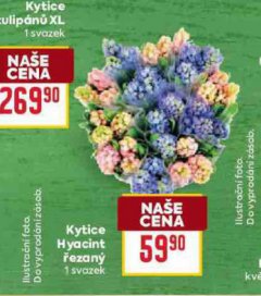 KYTICE HYACINT �EZAN�