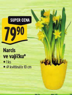 NARCIS VE VAJ��KU