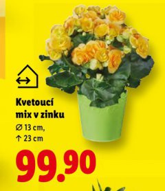 KVETOUC� MIX V ZINKU