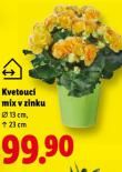 KVETOUC� MIX V ZINKU