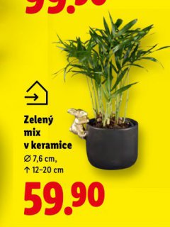 ZELELN� MIX V KERAMICE