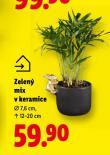ZELELN� MIX V KERAMICE