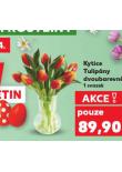 KYTICE TULIP�NY