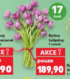 KYTICE TULIP�NY