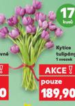 KYTICE TULIP�NY