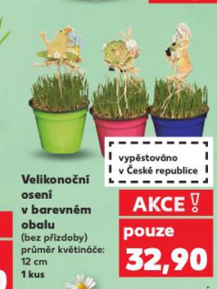 VELIKONO�N� OSEN� V BAREVN�M OBALU