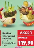 ROSTLINY V KERAMICK� SLEPI�CE