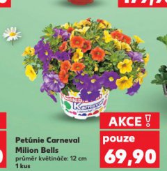 PET�NIE CARNEVAL MILION BELLS