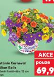 PET�NIE CARNEVAL MILION BELLS