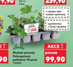 MU�K�T P�EVISL� PELARGONIUM PELTATUM