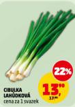 CIBULKA LAHŮDKOVÁ