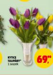 KYTICE TULIP�NY