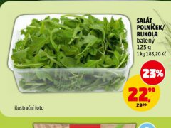 SAL�T POLN��EK