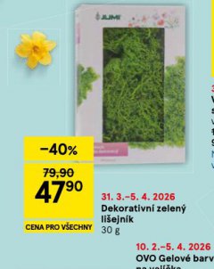 DEKORATIVNÍ ZELENÝ LIŠEJNÍK