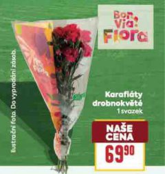 KARAFI�TY DROBNOKV�T�