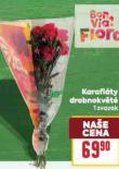 KARAFI�TY DROBNOKV�T�