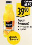 CAPPY POMERAN�