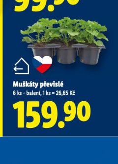 MU�K�TY P�EVISL�