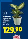 ZELEN� MIX V PASTELOV� KERAMICE