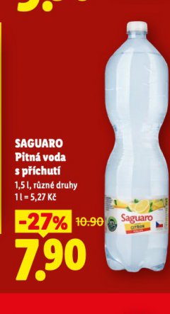 SAGUARO S P��CHUT�