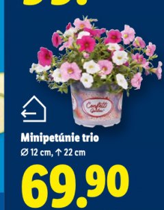 MINIPET�NIE TRIO