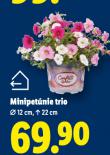 MINIPET�NIE TRIO