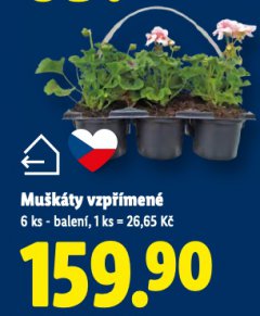 MU�K�TY VZP��MEN�