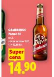 PIVO GAMBRINUS