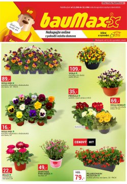 BAUMAX let�k