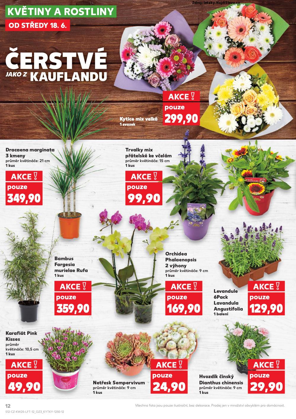 Strana 12 - letk Kaufland (18. 6. - 24. 7. 2025)