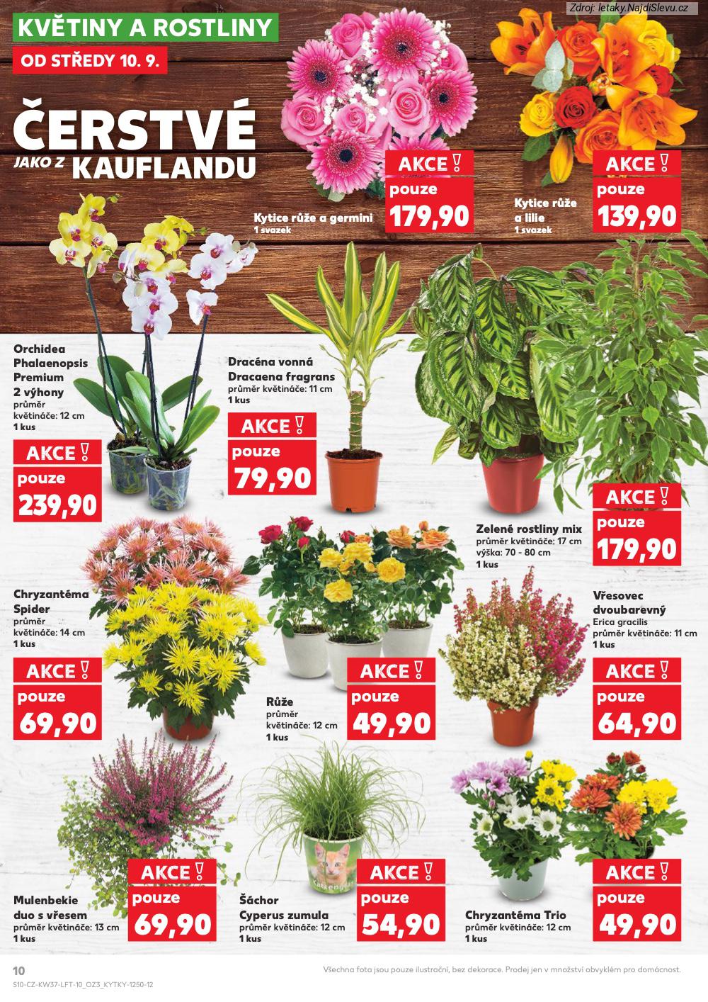 Letk Kaufland (10. 9. - 16. 9. 2025) - strana 10 z 90