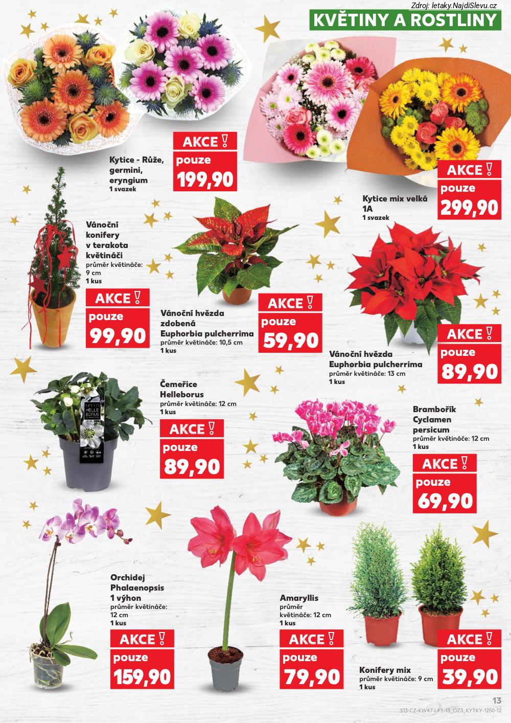 Let�k Kaufland  Most, M�ln�k, Sokolov, Mari�nsk� L�zn�, Kol�n, Kladno, �atec, P�s... (19. 11. - 25. 11. 2025) - str. 13