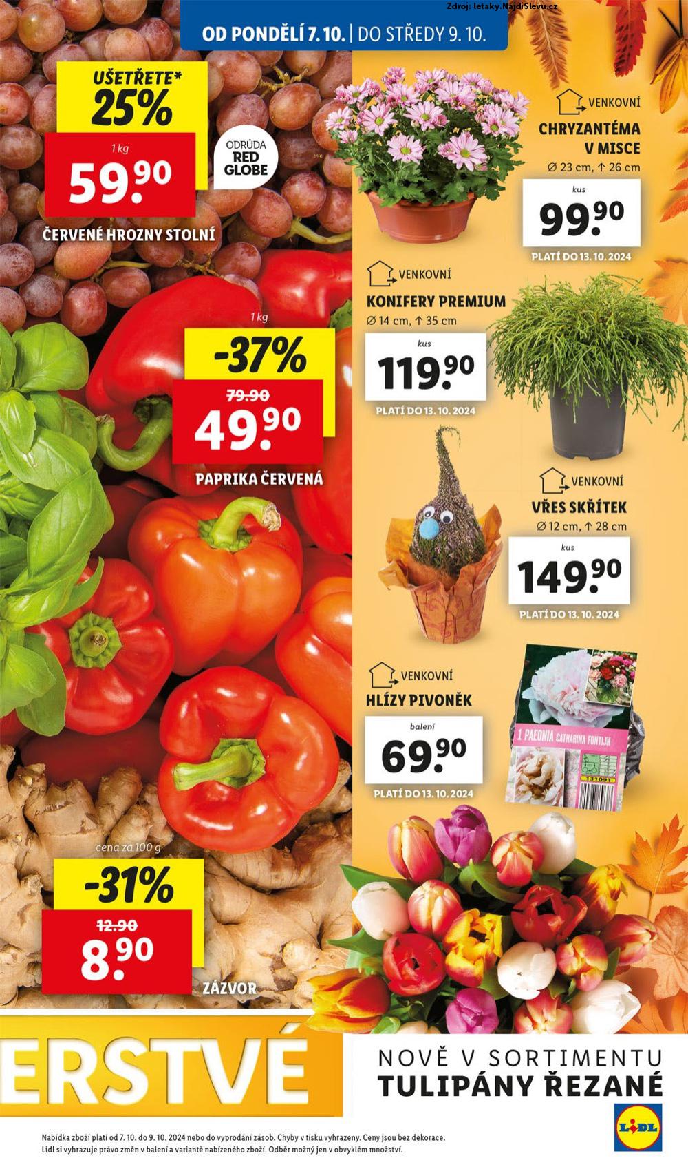 Strana 11 - leták Lidl (7. 10. - 13. 10. 2024)