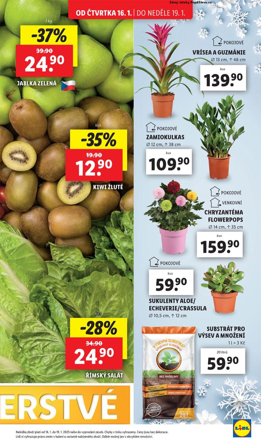 Strana 13 - letk Lidl (16. 1. - 19. 1. 2025)