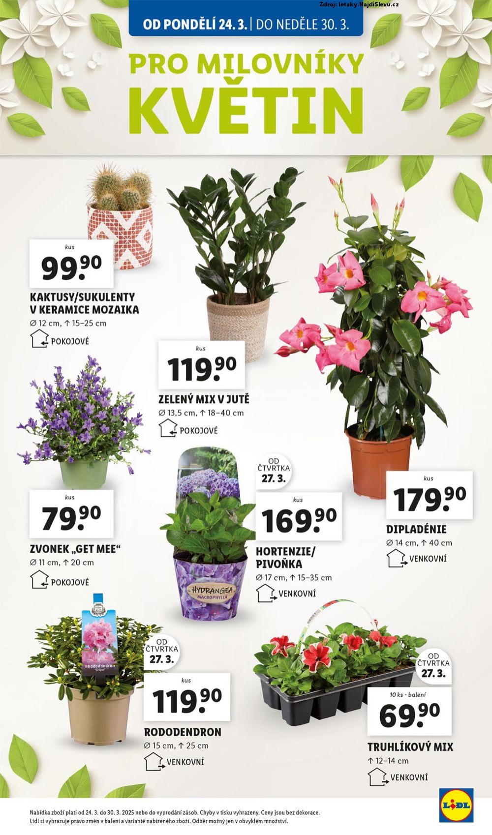 Strana 12 - letk Lidl (24. 3. - 26. 3. 2025)