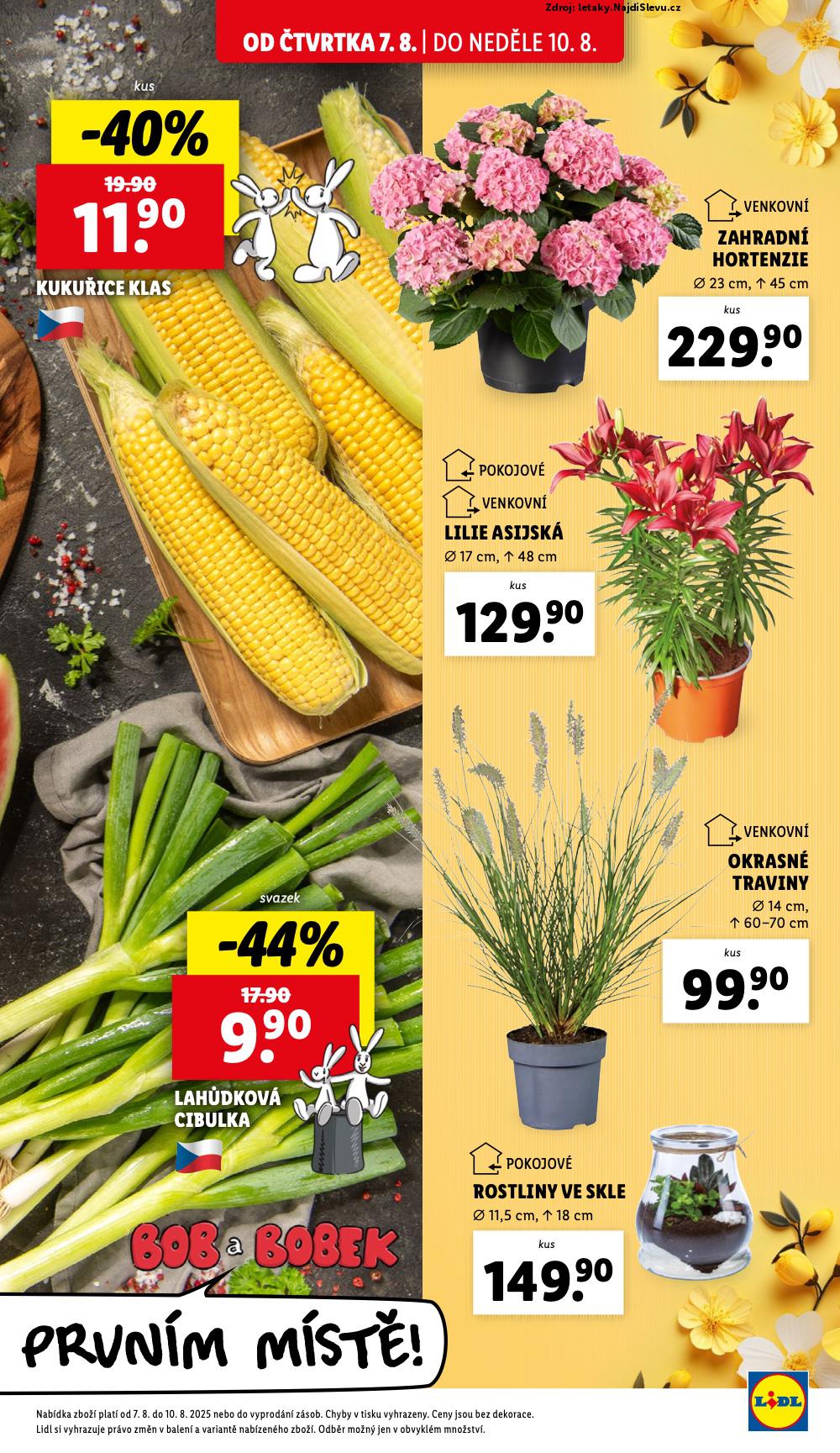 Strana 9 - leták Lidl (7. 8. - 10. 8. 2025)