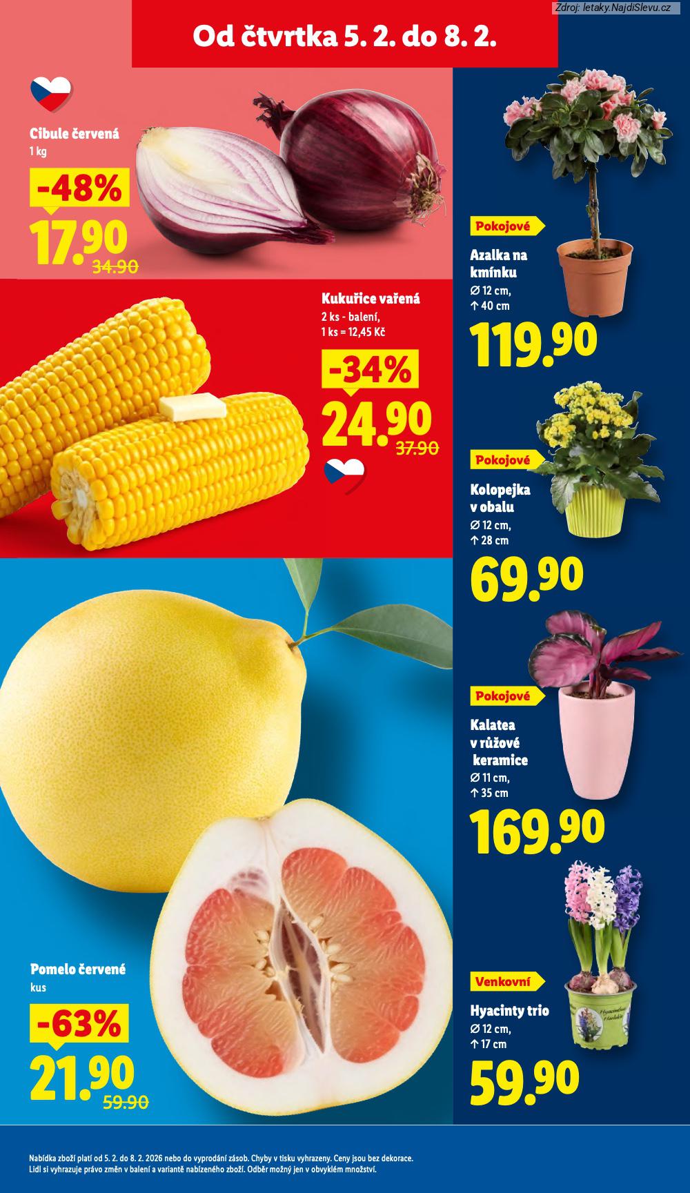 Let�k Lidl  (5. 2. - 8. 2. 2026) - str. 11: HYACINTY TRIO, KALATEA V, KOLOPEJKA V, POMELO �ERVEN�