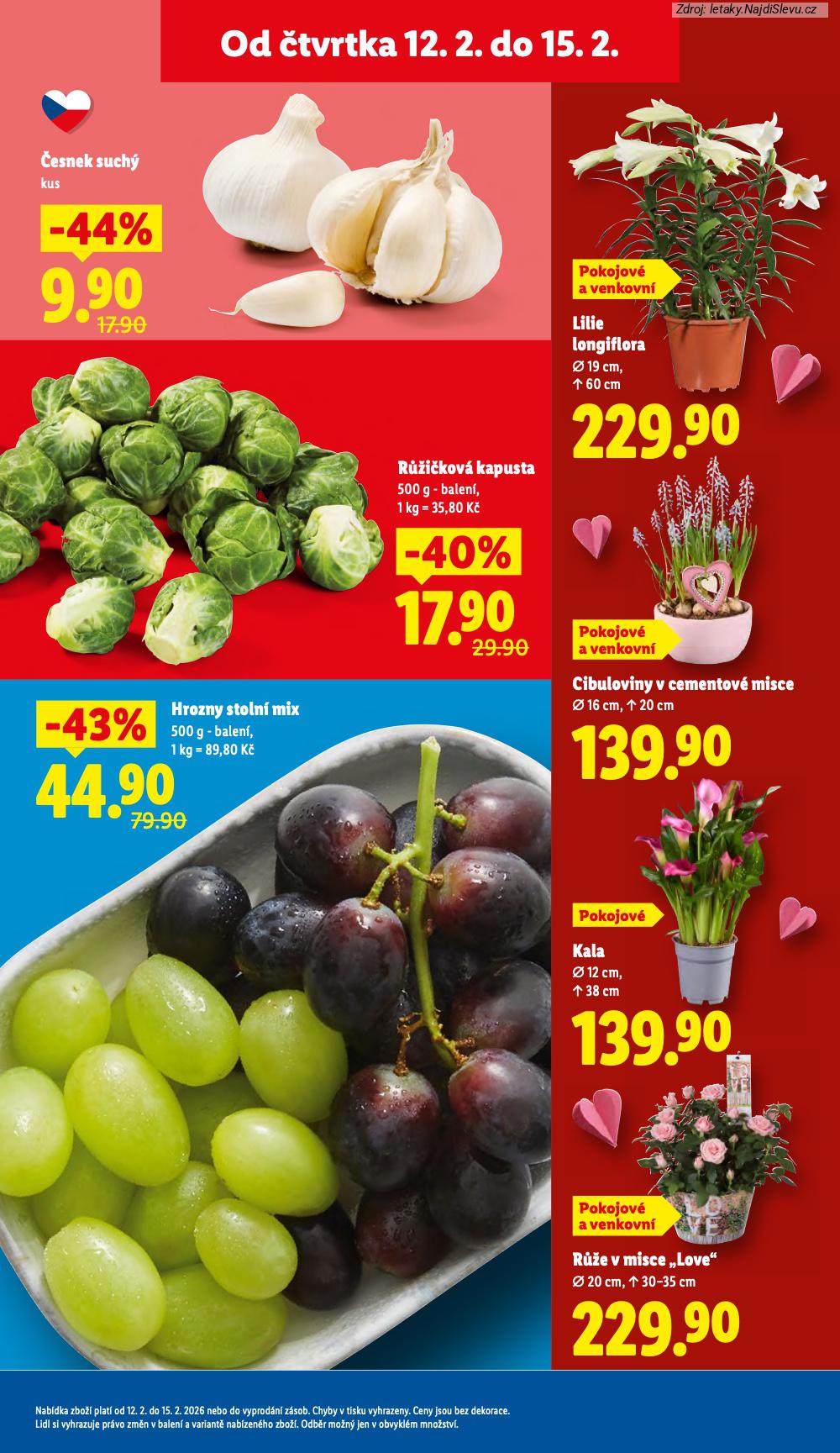 Let�k Lidl  (12. 2. - 15. 2. 2026) - str. 11: RَE V, KALA, CIBULOVINY V, LILIE LONGIFLORA