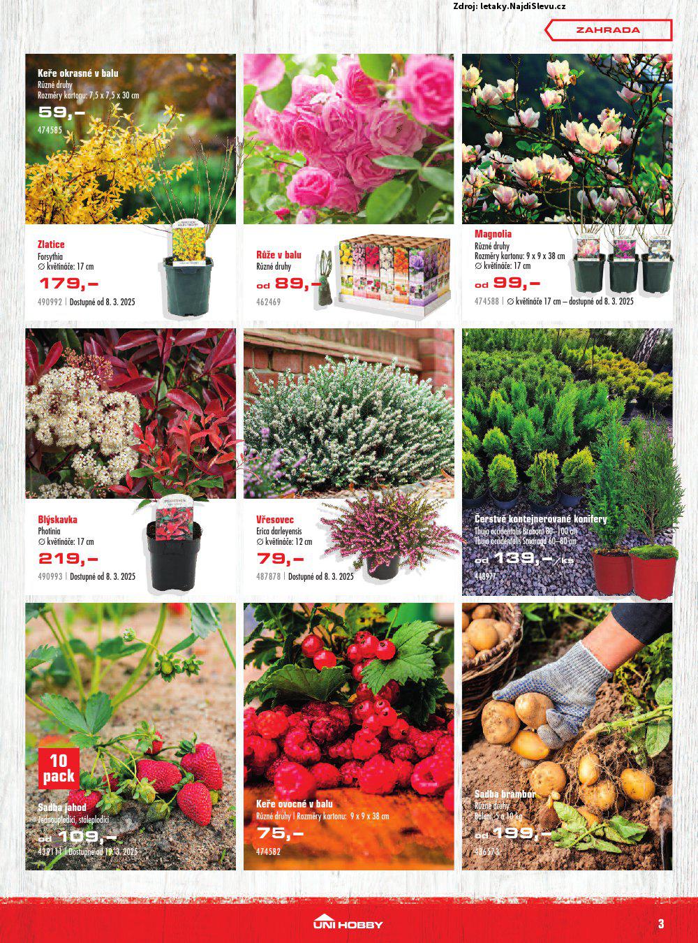 Let�k UNI HOBBY  (6. 3. - 30. 3. 2025) - str. 3
